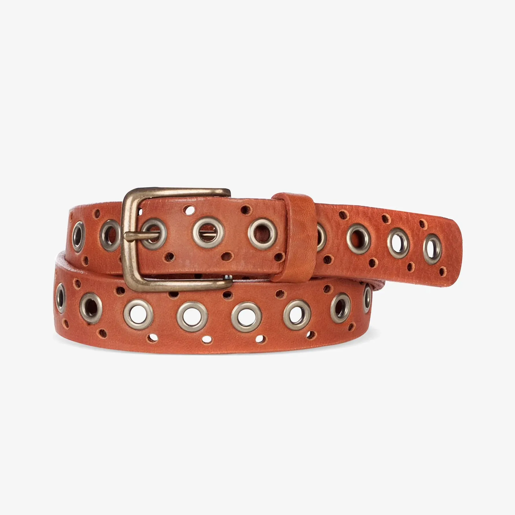 Kajus Belt - Scotch